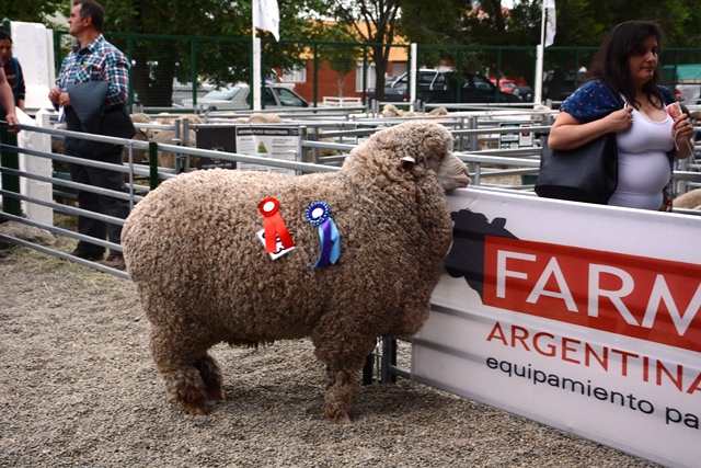 Una de las premiadas ayer en la Rural. (C.R.).