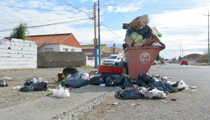 Para muchos vecinos los contenedores de basura terminaron siendo un problema para su sector y no una solución. (C. R)