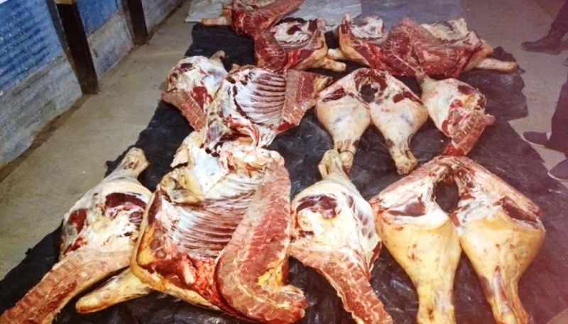 Carne de tres terneros incautada el lunes cerca de Tres Lagos 