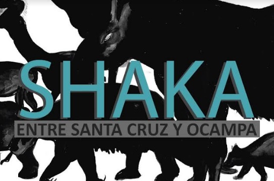 Shaka, de Carlos Ricci.