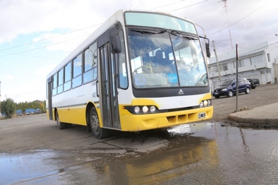 El servicio de transporte urbano está suspendido