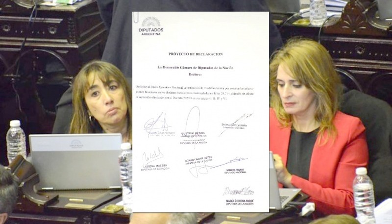 La resolución firmada por las diputadas de Cambiemos Reyes y Ricci.  