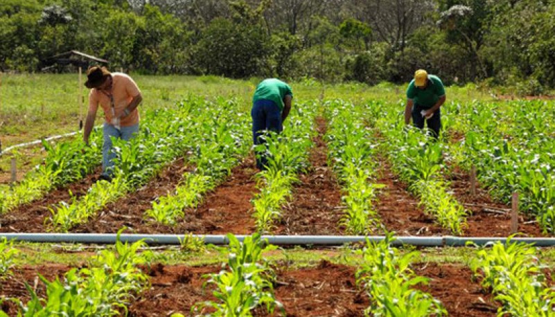 El ajuste en la SAF generará que las familias tengan menos cooperación técnica y económica, afirmaron.