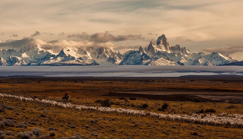 Ganador  del Tercer Concurso de Fotografia de la Patagonia. 