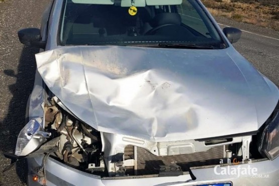 Así quedó el frente del auto que colisionó con el animal. 