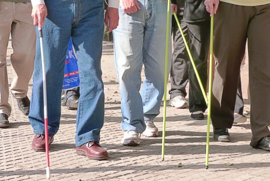 En 2002, luego de tantos años, se convirtió en Ley el uso del Bastón Verde para personas con disminución visual. 