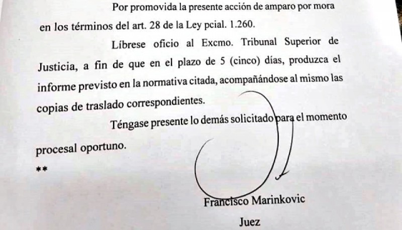 El juez Francisco Marinkovic aceptó el amparo contra el TSJ y ordena respuesta en cinco días