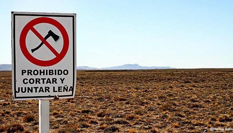 Esta vez el blanco fue la estancia “Cañadón Vasco”. (Foto: Néstor Galina)