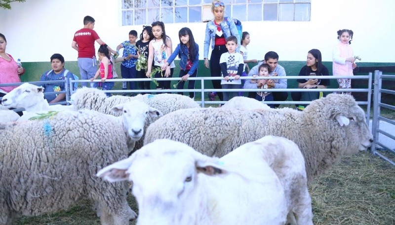 Agrupaciones gauchas participaron del izamiento. (J.C.C) 