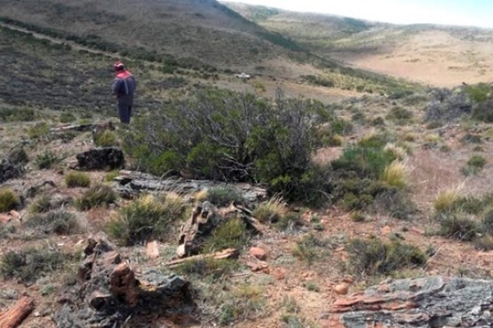 En una zona de mesetas, hondonadas y cañadones fueron hallados numerosos troncos de árboles petrificados, lo que indicaría que hace millones de años hubo un bosque de grandes extensiones.