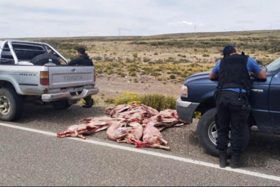 Los animales fueron secuestrados por la policía. 