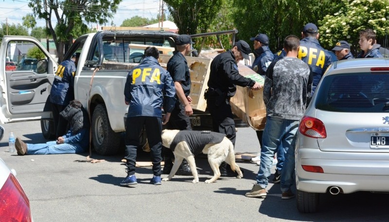 Unno de los canes detectó el contenido de drogas dentro de los muebles (Fotos: C. Robledo)