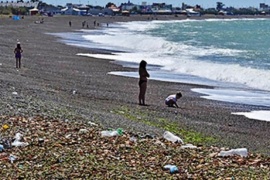 La playa parece basural: cajones de pescado, langostinos muertos y algas