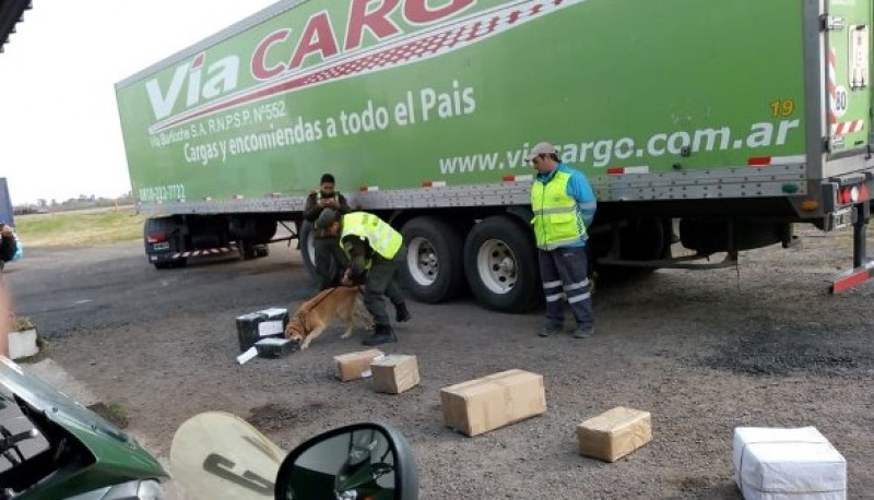La droga fue detectada por un perro de Gendarmería Nacional durante un control en Buenos Aires. 