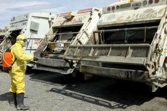 Se llevó a cabo el control de plaga y labores de fumigación