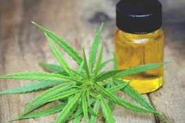 Es ley en Tierra del Fuego el uso medicinal del cannabis
