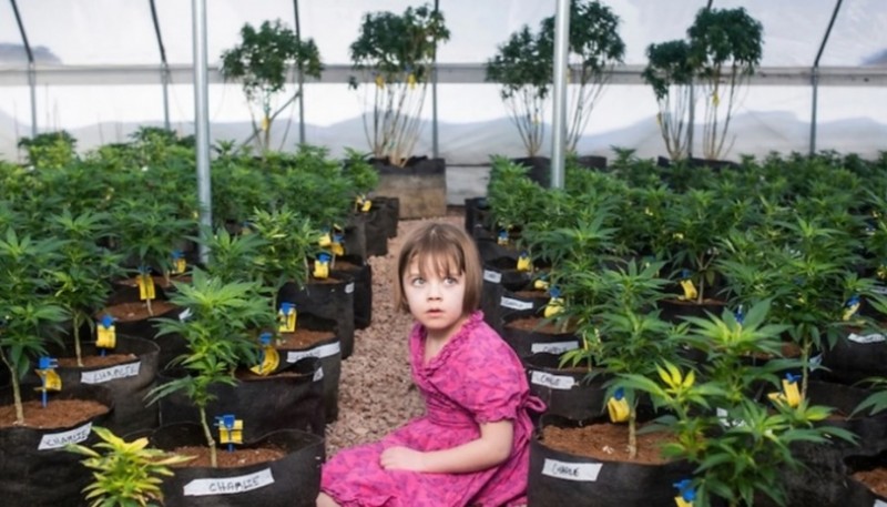 Foto: theimmagine.es / niña tratada con cannabis Charlotte