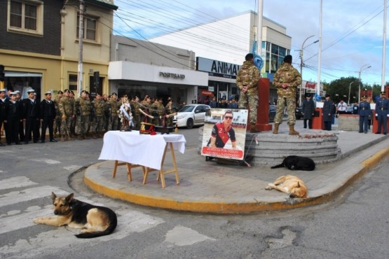 Ayer, tres perros en el izamiento dominical. (C.R.). 