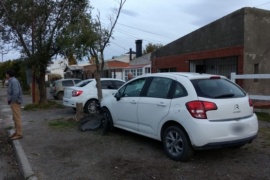 Perdió el control y chocó contra un árbol