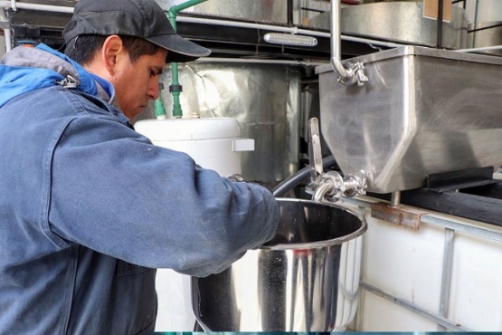 Fabricarán fertilizantes con turba negra