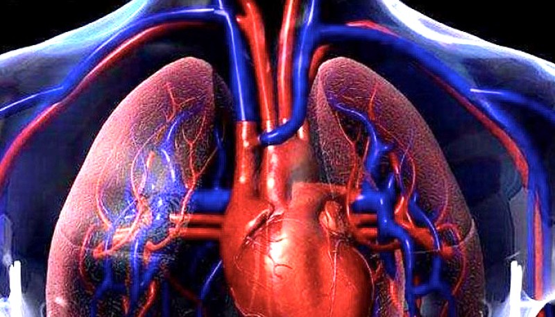 En Santa Cruz hay hasta el momento ocho casos registrados de hipertensión pulmonar. 