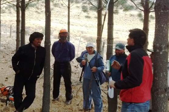 Bosques capacitó a pobladores en manejo de herramientas para poda y raleo 