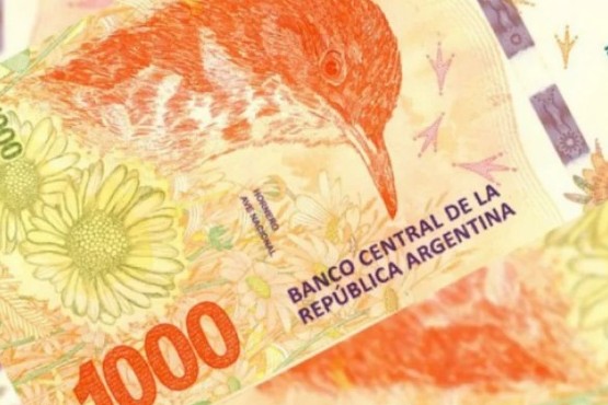 Pedirán ampliar el presupuesto a 20.000 millones de pesos