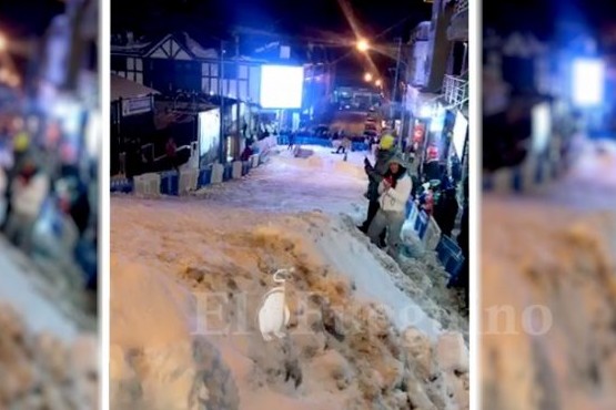 Armaron una pista de esquí en pleno centro