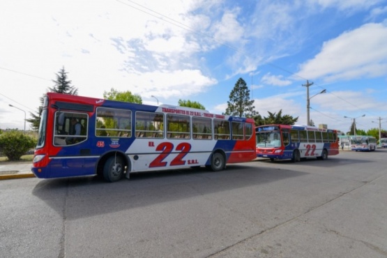 Circularán menos micros y no habrá servicio los domingos y feriados