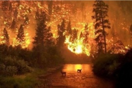 Así se ve el gigantesco incendio en el Amazonas desde el espacio