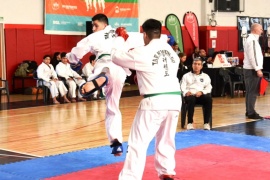 El taekwondo tuvo su Torneo Provincial