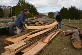 Avanza la formación y capacitación de la Fundación Bosques de la Patagonia