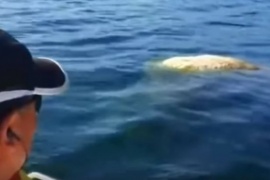 La "extraña criatura" que se encontraron pescadores en el lago