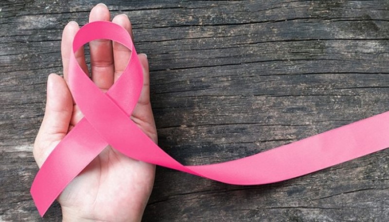 El lazo rosa por la campaña contra el cancer de mama. 