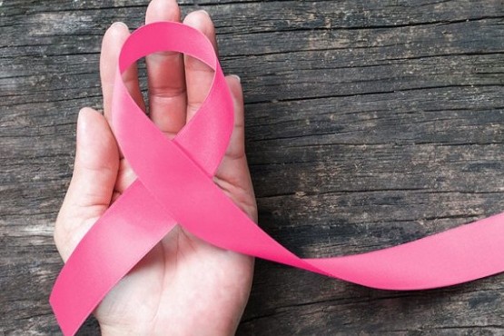 El lazo rosa por la campaña contra el cancer de mama. 