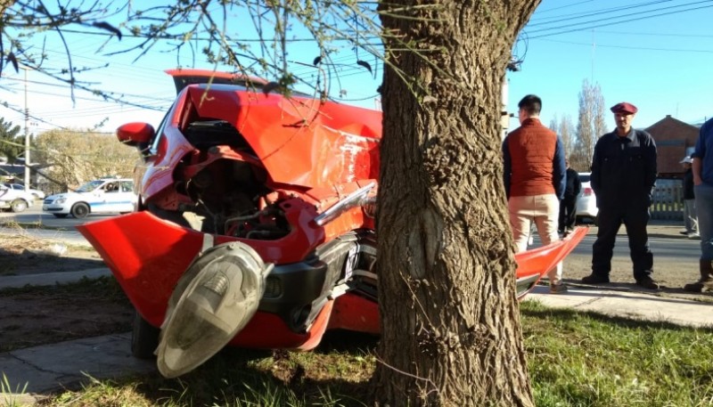 Colisionó con un árbol (C.G)