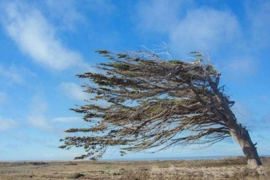 Ráfagas de viento en un clima frío en el sur. 