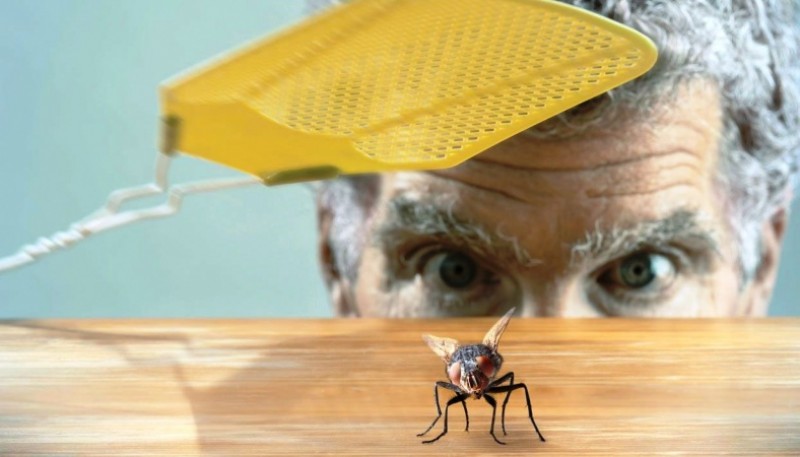 Los vecinos se las ingenian para eliminar los insectos (foto ilustrativa).)