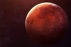 Sal, arcilla y ronquidos aumentan la posibilidad de vivir en Marte