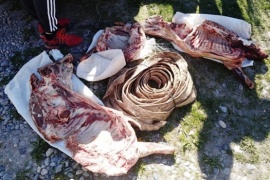 Tres personas demoradas con carne ovina y media res faenada