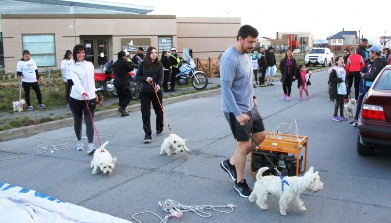 Gómez Bull también llevó sus perritos.