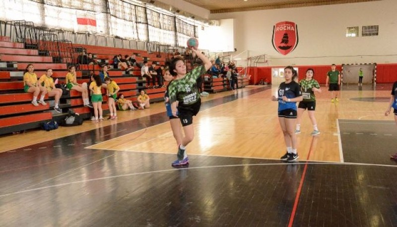 El handball tiene un trabajo excelente.