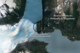 Desactivaron subasta de tierras con expropiación en Península de Magallanes