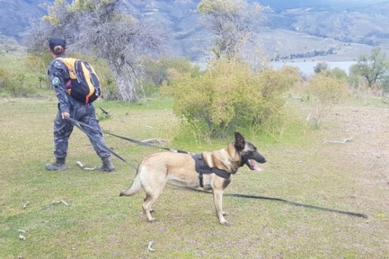 Rastrillaje en Lago Rosario.