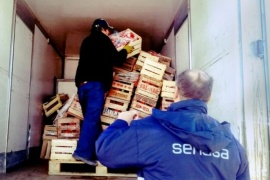 Detuvieron un camión que transportaba 2872 kilos de hortalizas sin rótulos