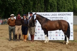 Premio gran campeón para la Estancia Moy Aike Chico