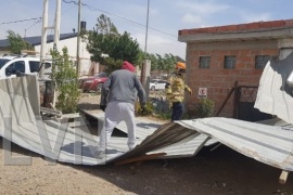 Fuerte temporal provocó caída de árboles y voladuras de techos