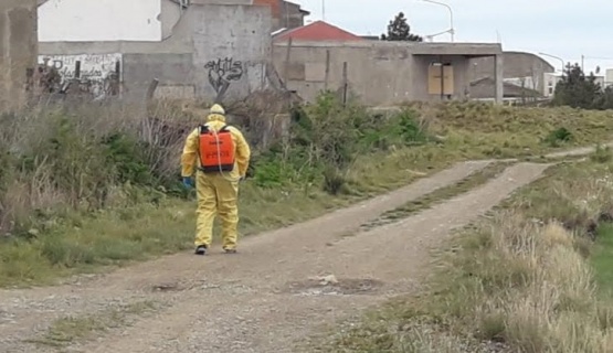 Trabajos realizados en el sector.