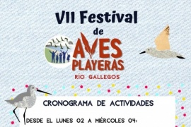 Se viene el 7° Festival de Aves Playeras