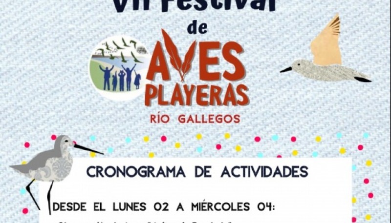 Se viene el 7° Festival de Aves Playeras 